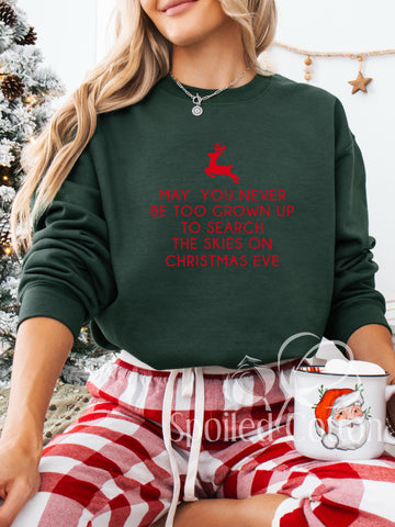 Search the Skies on Christmas Eve